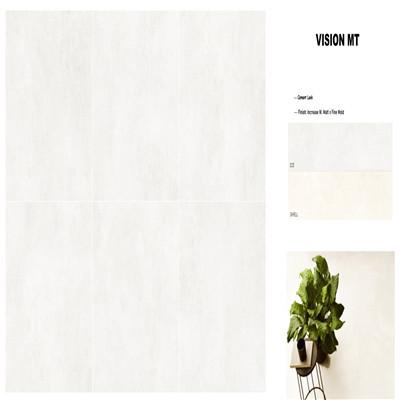 VISION MT